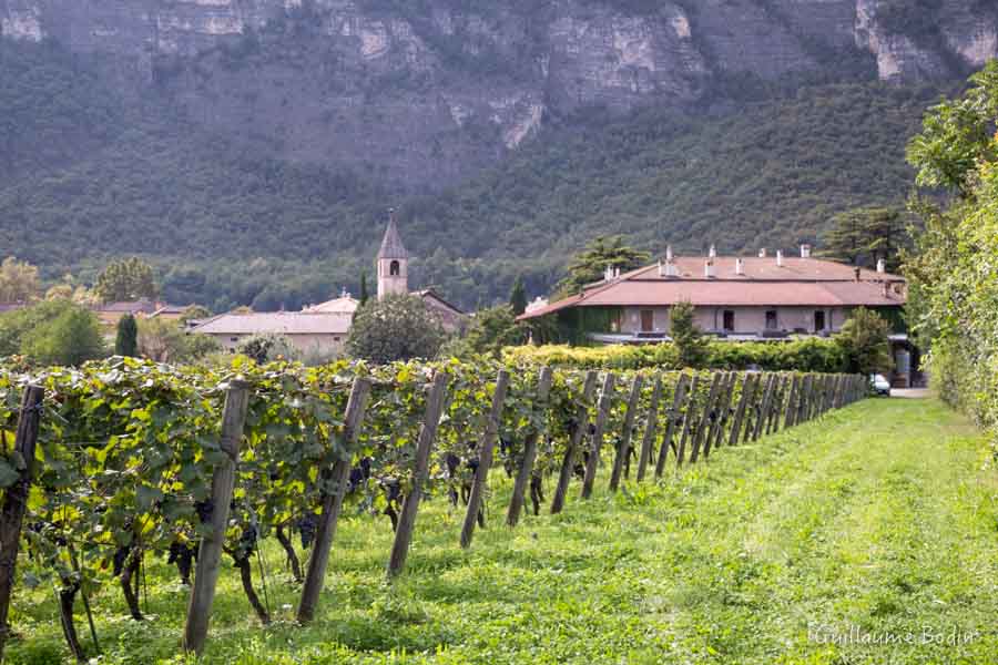 Foradori Estate