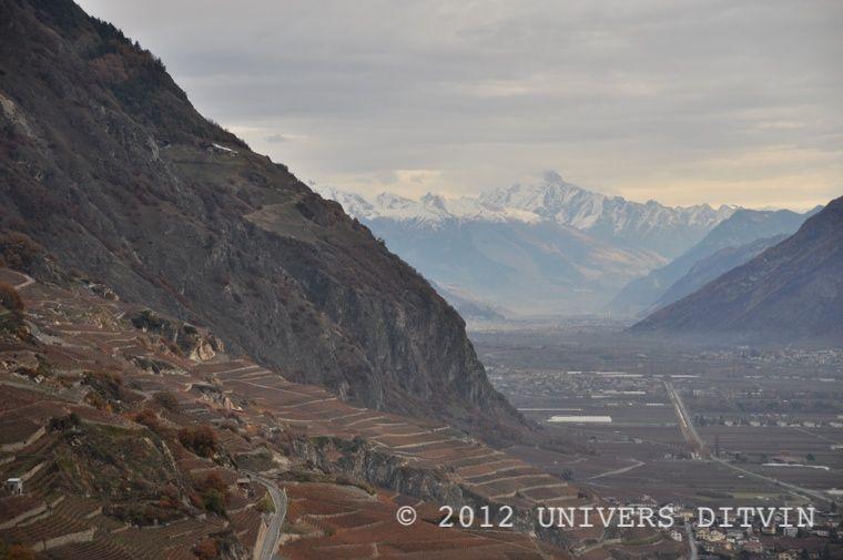 Coteaux du Valais