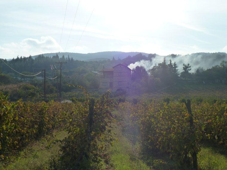 Domaine Thymiopoulos