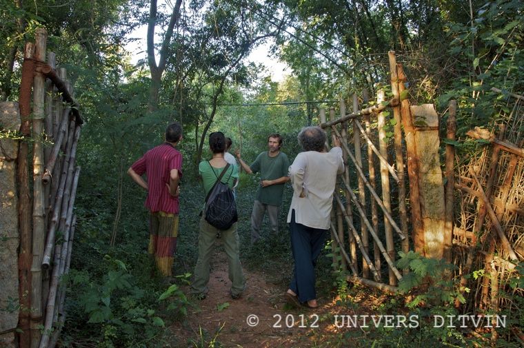 L'entrée du sanctuaire de forêt