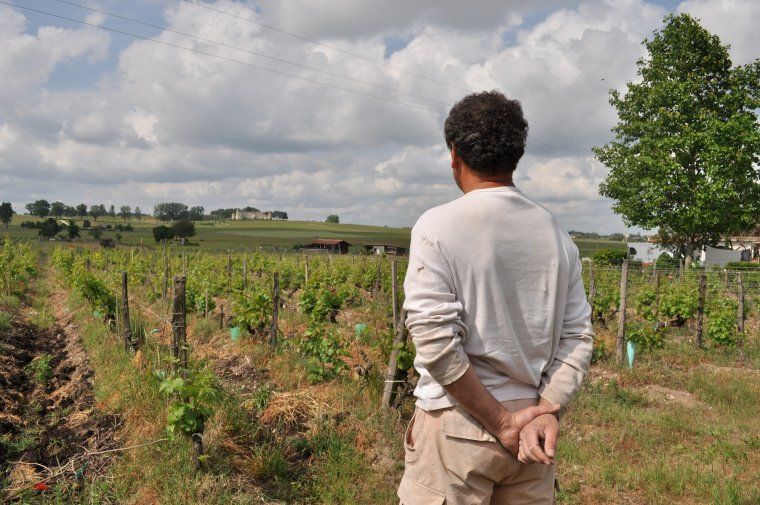 Alain Déjean regarde le Chateau Yquem depuis son domaine Rousset-Peyraguet à Sauternes