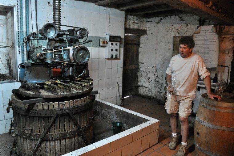 Le pressoir du Domaine Rousset-Peyraguey