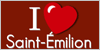 i_love_st_em_100x50