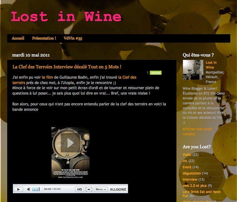 Le site Lost in Wine de Ninna Izzo