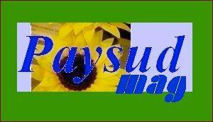 Le site internet paysud.com