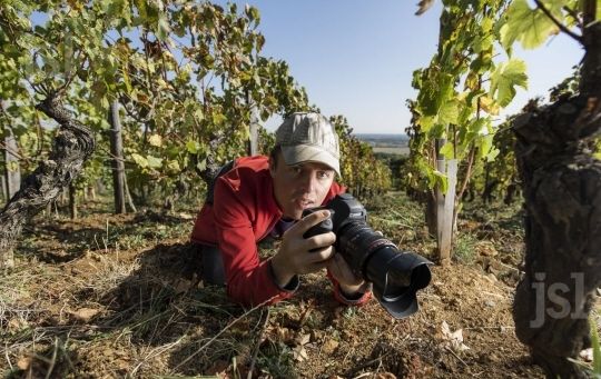 Un vigneron cineaste engage contre les pesticides