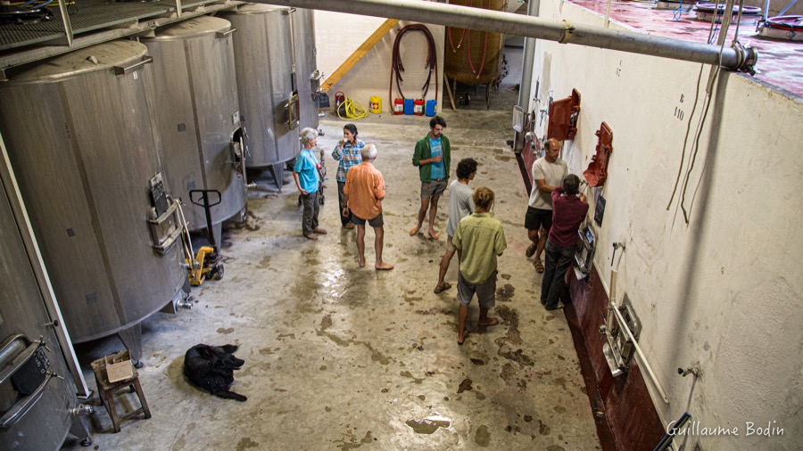 Dégustation des cuves au Mas de Libian