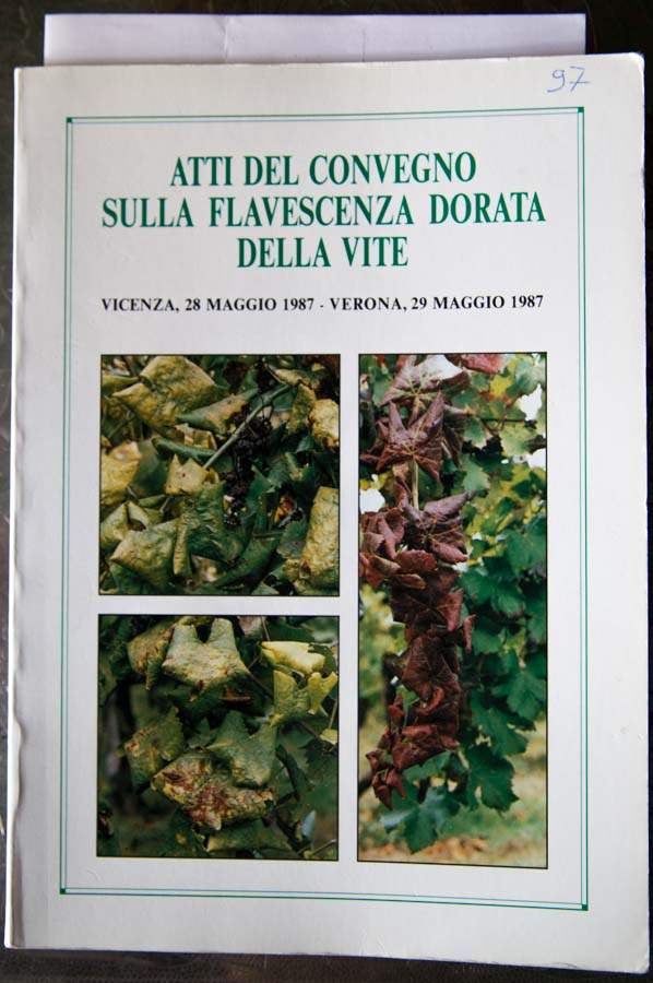 Atti del convegno sulla flavescenza dorata della vite