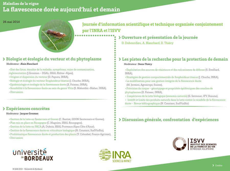 Journée d’information scientifique et technique sur la Flavescence Dorée de la vigne organisée par l'ISVV, l'université de Bordeaux et l'INRA.